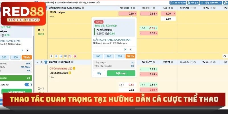 Thao tác quan trọng tại hướng dẫn cá cược thể thao RED88