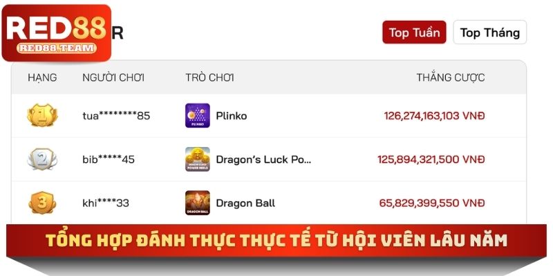 Tổng hợp đánh thực thực tế từ hội viên lâu năm